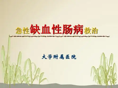 急性缺血性肠病救治_2012