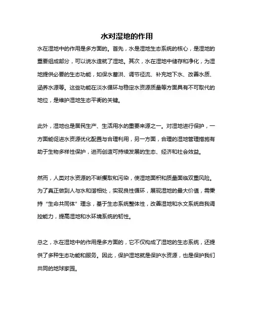 水对湿地的作用