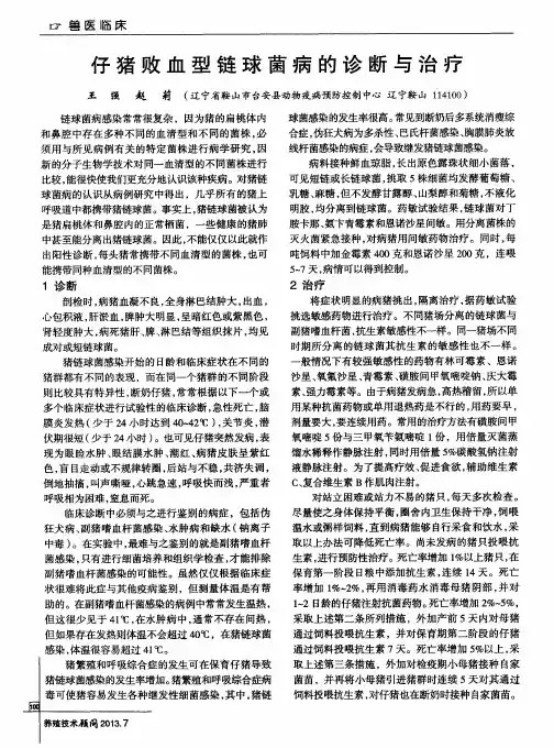 仔猪败血型链球菌病的诊断与治疗