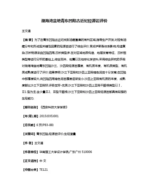 渤海湾盆地青东凹陷古近纪烃源岩评价
