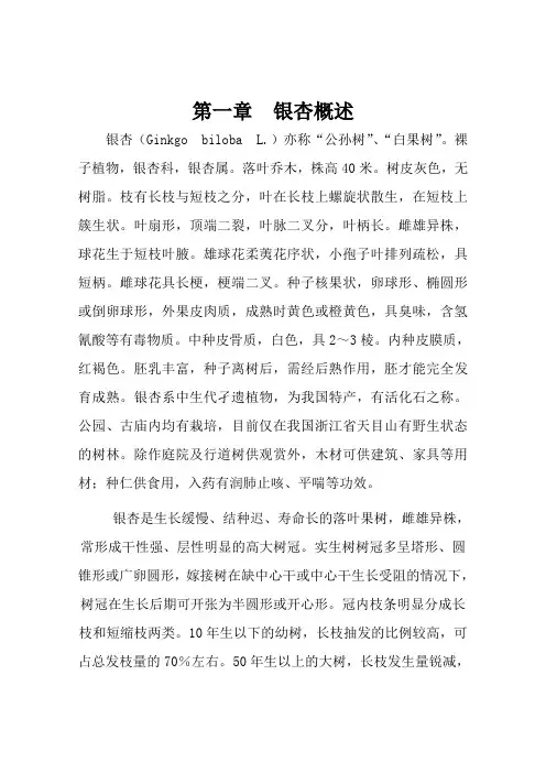 银杏栽培技术资料