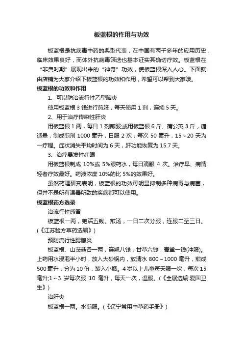 板蓝根的作用与功效
