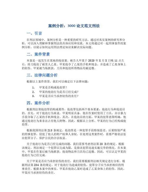 案例分析3000论文范文刑法