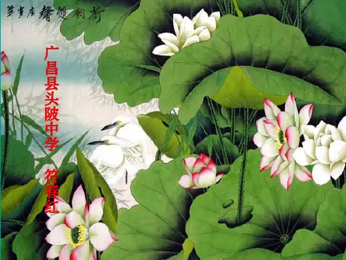 植物的花和果实ppt课件.ppt