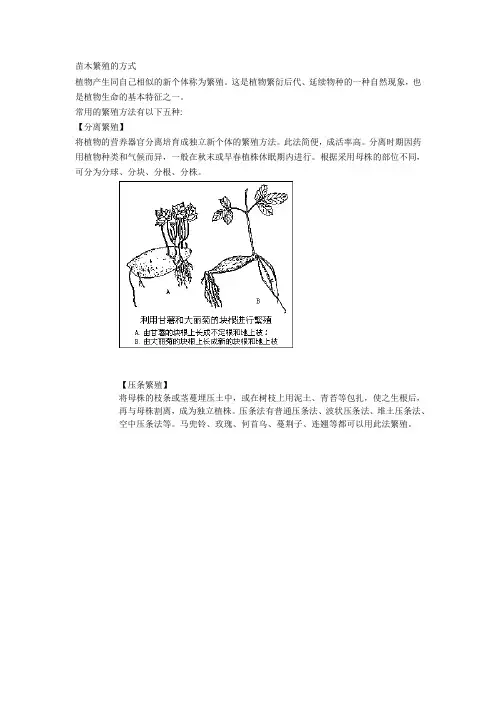 苗木繁殖的方式