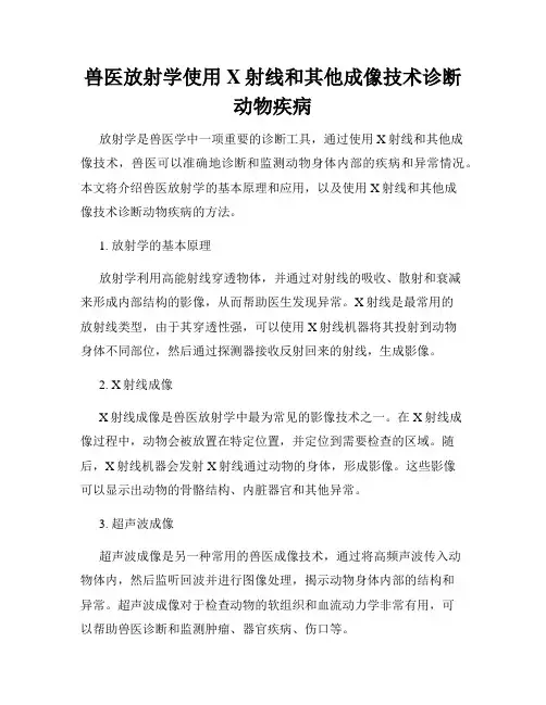兽医放射学使用X射线和其他成像技术诊断动物疾病