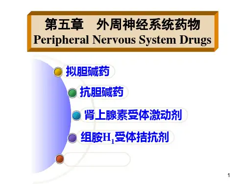 第五章—外周神经系统药物