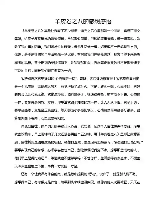 羊皮卷之八的感想感悟