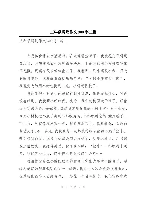 三年级蚂蚁作文300字三篇