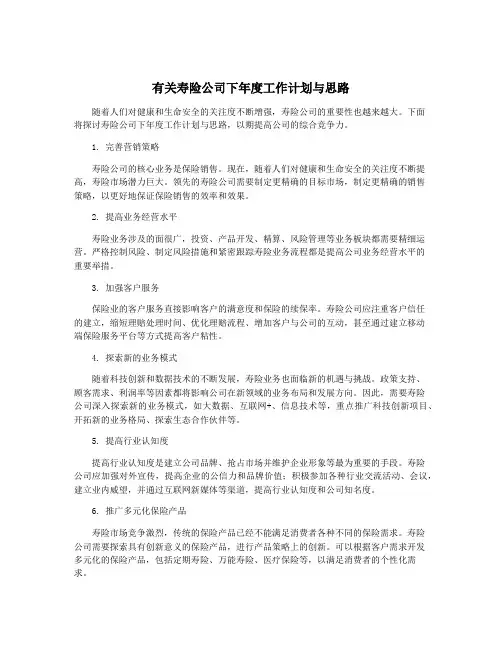 有关寿险公司下年度工作计划与思路