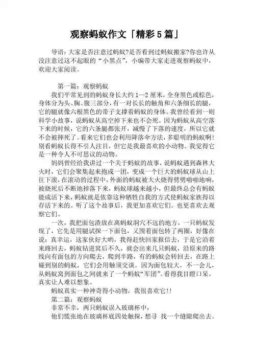 观察蚂蚁作文「精彩5篇」