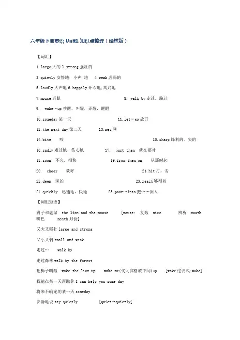 六年级下册英语Unit1知识点整理(译林版)docx
