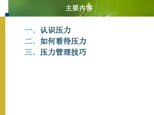 第六章压力管理