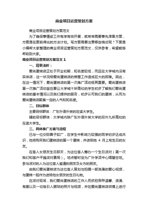 商业项目运营策划方案范文