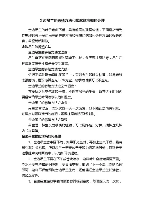 金边吊兰的养殖方法和根腐烂病如何处理