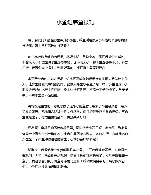 小鱼缸养鱼技巧