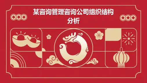 某咨询管理咨询公司组织结构分析