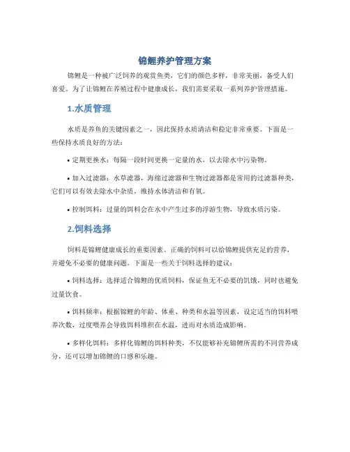 锦鲤养护管理方案