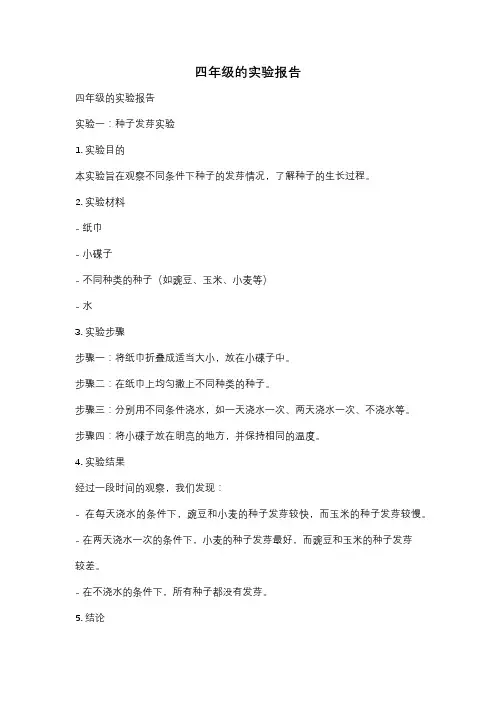 四年级的实验报告