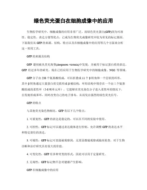 绿色荧光蛋白在细胞成像中的应用
