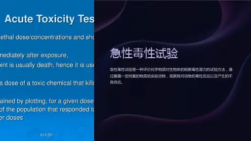 急性毒性试验