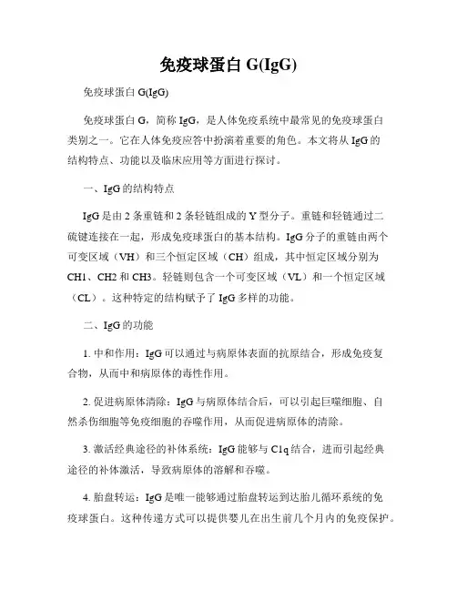 免疫球蛋白G(IgG)
