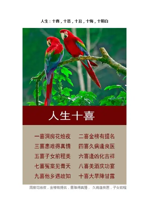 人生：十喜，十悲，十丑，十悔，十明白