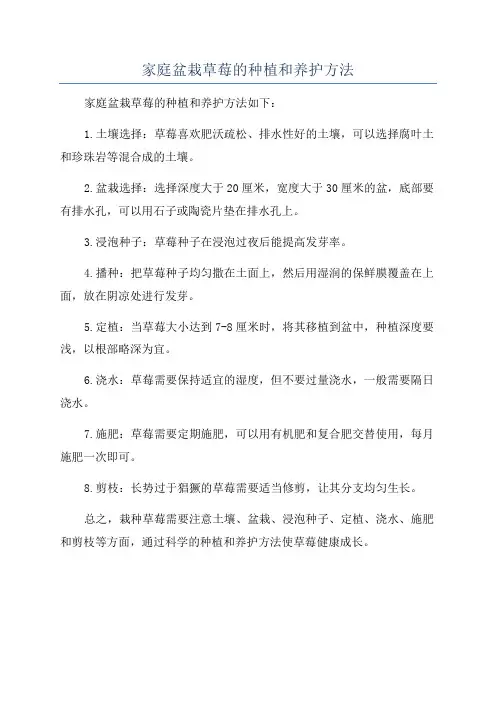 家庭盆栽草莓的种植和养护方法