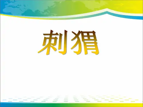 《刺猬》ppt【完美版课件】