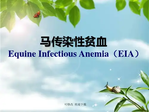 最新马传染性贫血课件