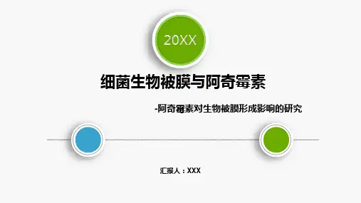 文献阅读-生物被膜Bacterial biofilm与阿奇霉素