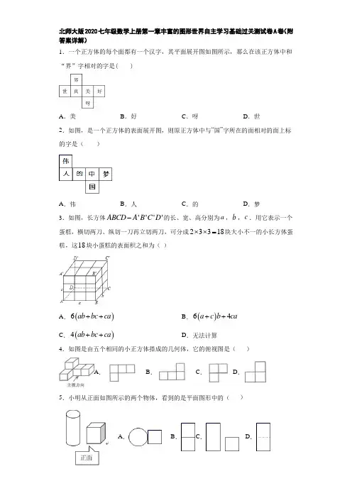 北师大版2020七年级数学上册第一章丰富的图形世界自主学习基础过关测试卷A卷(附答案详解)