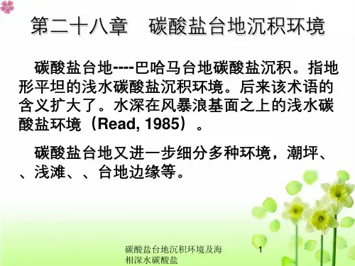 碳酸盐台地沉积环境及海相深水碳酸盐