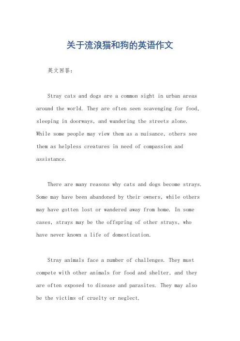 关于流浪猫和狗的英语作文