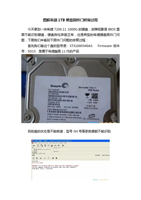 图解希捷1TB硬盘固件门修复过程