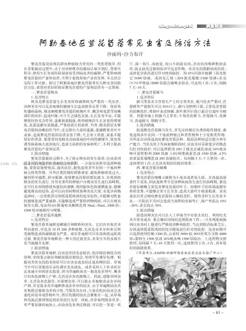 阿勒泰地区紫花苜蓿常见虫害及防治方法