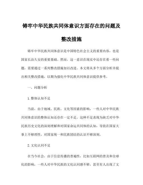 铸牢中华民族共同体意识方面存在的问题及整改措施