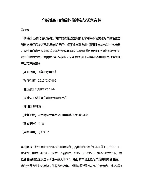 产碱性蛋白酶菌株的筛选与诱变育种