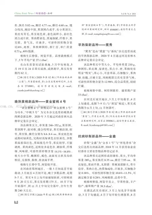 晚熟黄桃新品种——黄金蜜桃4号