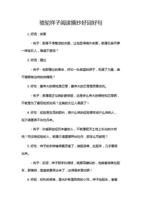 骆驼祥子阅读摘抄好词好句