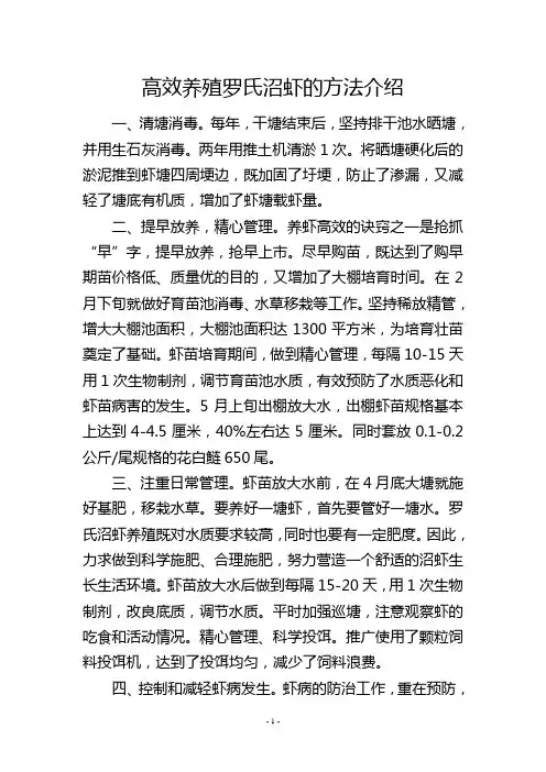 高效养殖罗氏沼虾的方法介绍