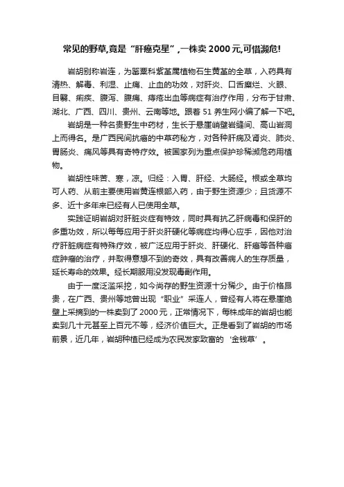 常见的野草,竟是“肝癌克星”,一株卖2000元,可惜濒危!