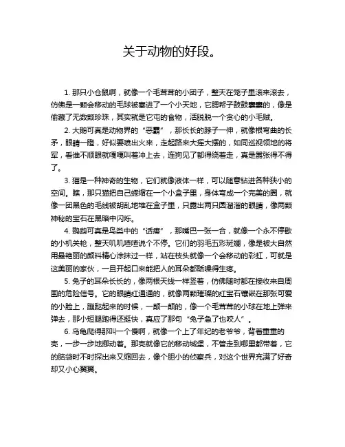 关于动物的好段。
