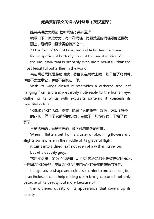 经典英语散文阅读-枯叶蝴蝶（英汉互译）