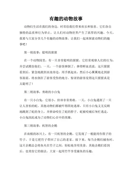 有趣的动物故事