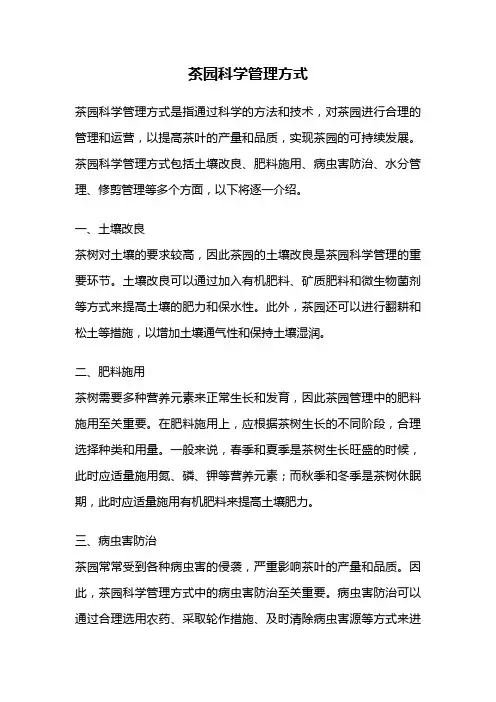 茶园科学管理方式