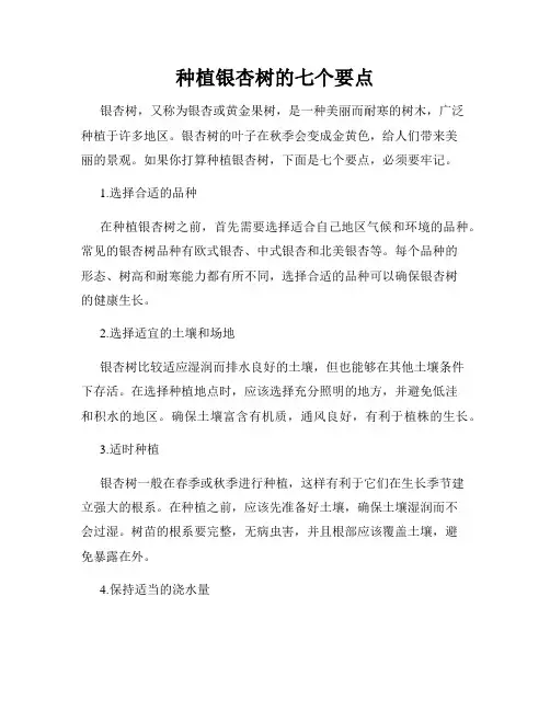 种植银杏树的七个要点