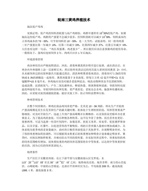 皖南三黄鸡养殖技术