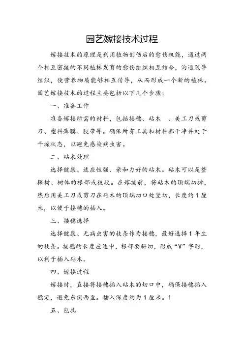 园艺嫁接技术过程