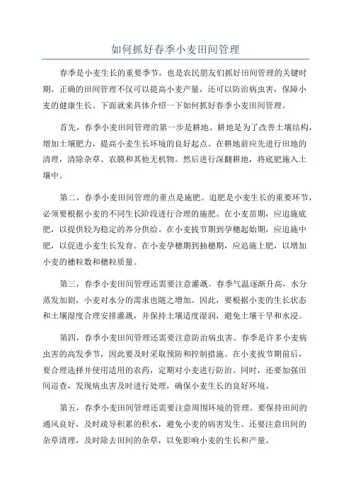 如何抓好春季小麦田间管理